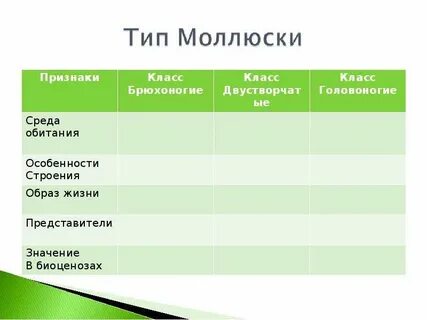 Моллюски среда жизни