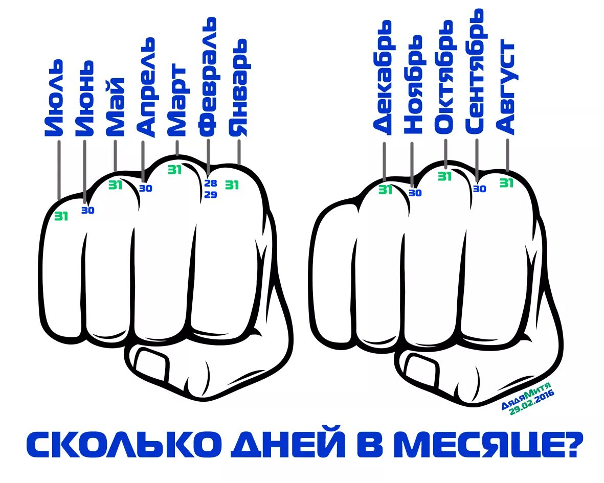 4 г в месяцах. Дни в месяцах. Кол во дней в месяцах. Количестводнейв месчцах. Сколько дней в каждом месяце.