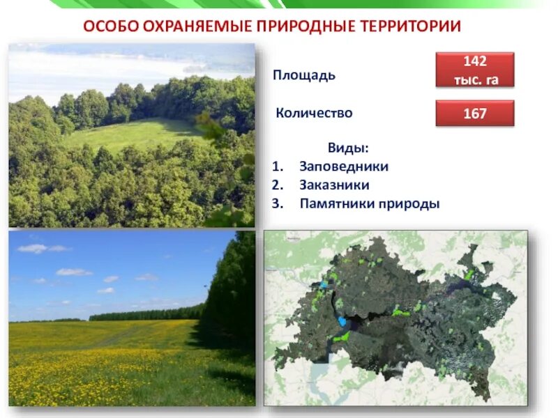 Разнообразие природы родного края татарстан. Разнообразие природы татарстана. природа родного края татарстан. растительный мир татарстана. охраняемые территории татарстана.