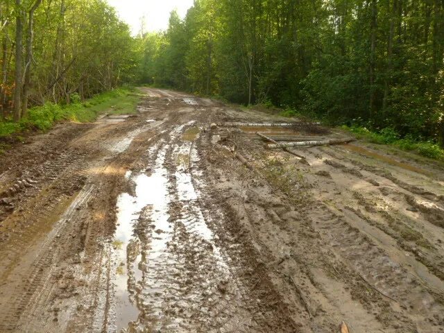 Дорога рецензия. Деревня городок Парфинский район. Деревня городок Новгородская область Парфинский район. Деревня Ярцево Новгородская область. Беглово Новгородская.