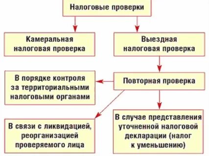 В ходе камеральной налоговой проверки было