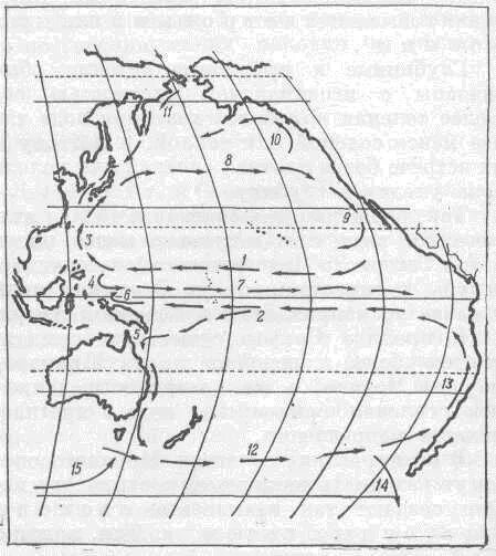 Схема течений Тихого океана. Схема течений Тихого океана 7 класс. Схема морских течений в тихом океане. Океанические поверхностные течения схема движения Тихого океана. Течения восточных ветров