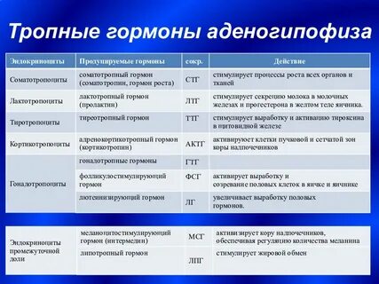 Вырабатывает гормонов 6