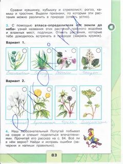 Рт окр 4