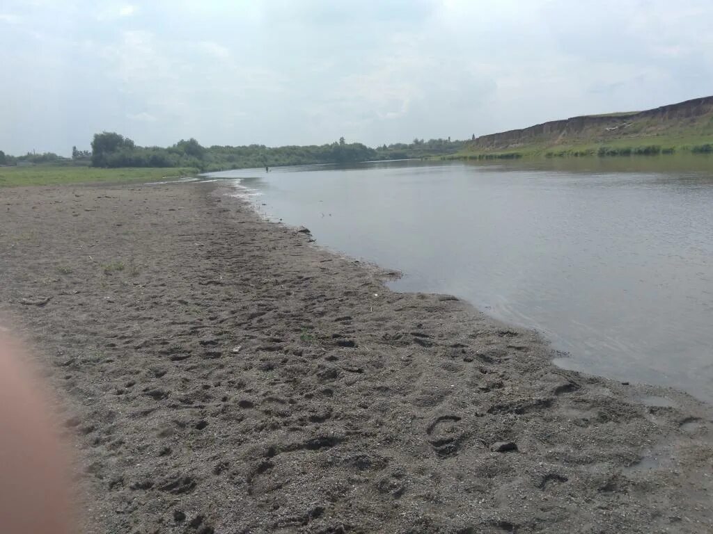 Уровень воды в реке чумыш в тальменке. Река Чумыш Алтайский край. Чумыш Киселевск пляж. Золотые Пески Чумыш Алтайский край.