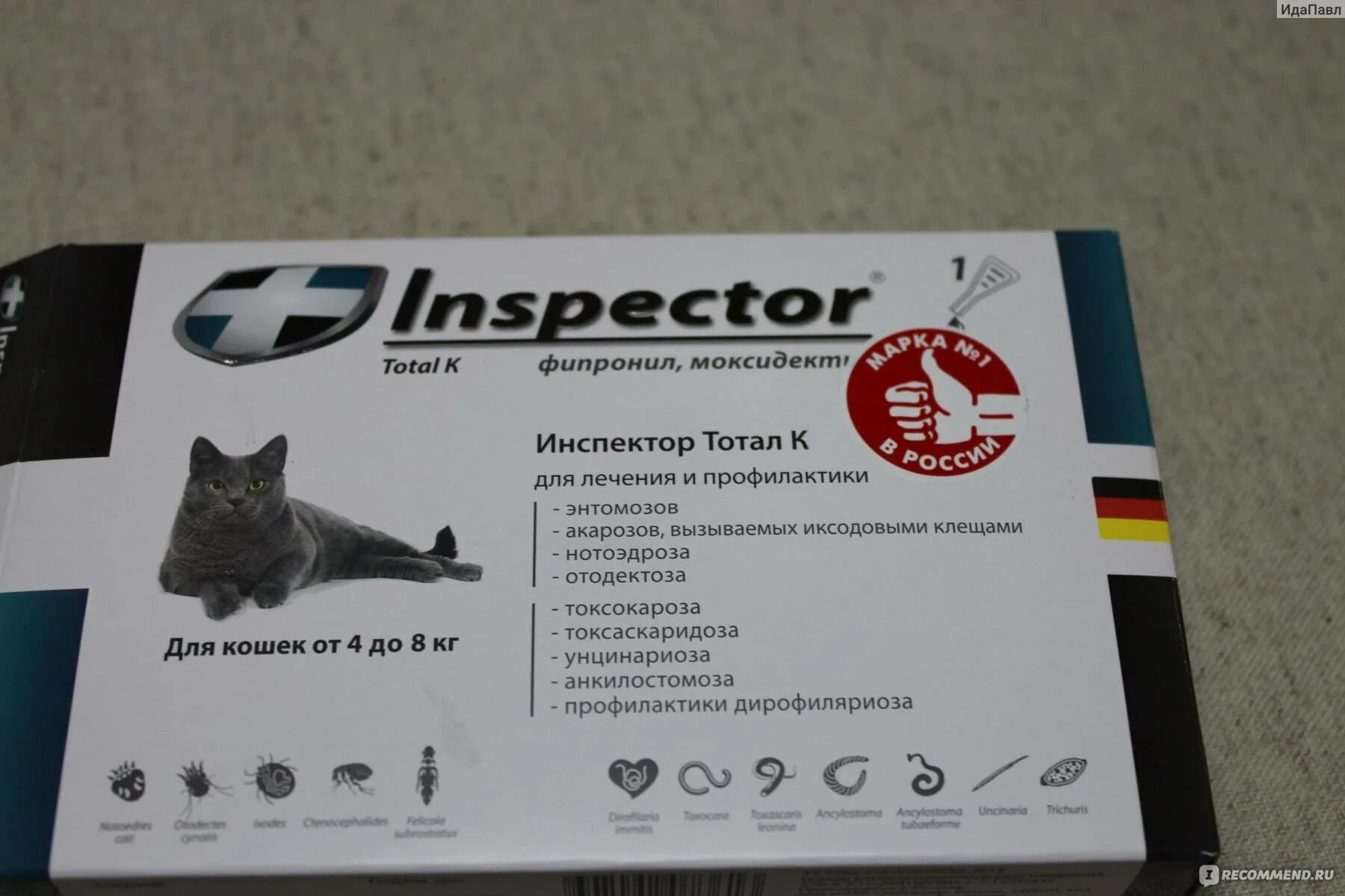 Капли для кошек от блох и глистов Inspector. Инспектор капли тотал кошки. Глистогонные препараты для кошек инспектор. Инспектор капли на холку для кошек. Капли от глистов и клещей для кошек