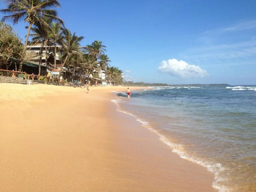 Хиккадува бары. Drifters hotel 4* шри-ланка южная провинция хиккадува. Шри ланка отель drifter. Отель дрифтерс хиккадува. Drifters 3 шри ланка хиккадува.