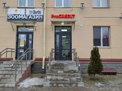Брокеры минск