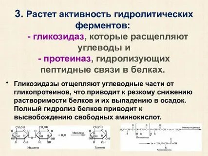 Ферменты участвующие в расщеплении жиров