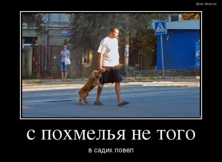 Приколы про похмелье. Похмелье приколы. Приколы про похмелье. Похмелье картинки прикольные. Открытки с бодуна прикольные.