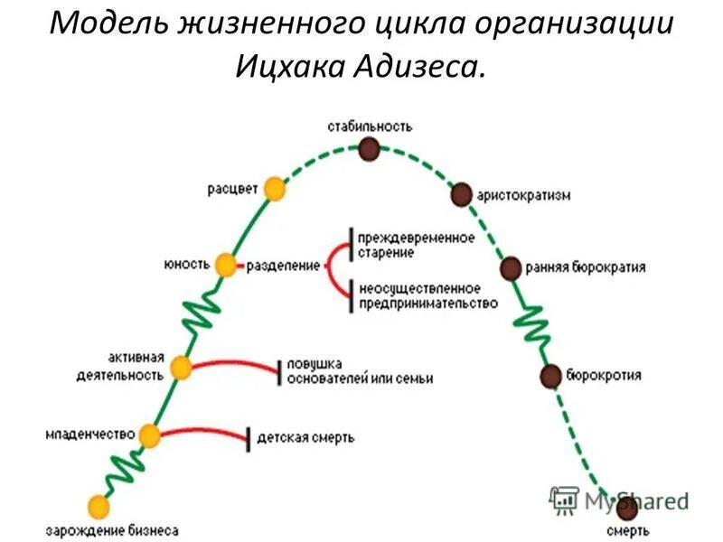 Схема модели жизненного цикла Модели жизненного цикла программного обеспечения