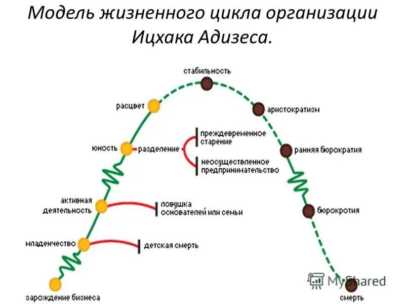 Адизес управление жизненным. Модель жизненного цикла по Адизесу. Ицхак Адизес модель жизненного цикла. Модель Адизеса жизненный цикл организации. Ицхак Адизес жизненный цикл организации.