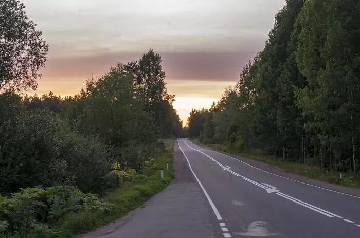 Дорога на поселок том. 41к-181. Огоньки-Стрельцово-Толоконниково. Трасса 41к 181. Трасса 41к-008.