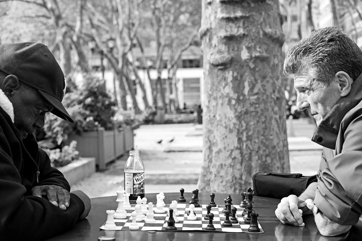 We like playing chess. Шахматы на лавочке. Игроки в шахматы на улице Франция. Боголюбов шахматист. Конь шахматы.