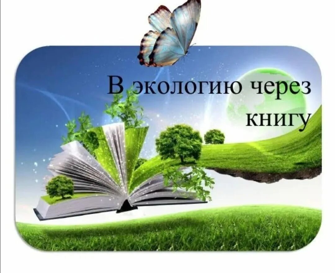 В экологию через книгу. Экология в библиотеке. Экология книга библиотека книги.