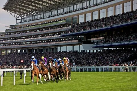 Ascot horse racing