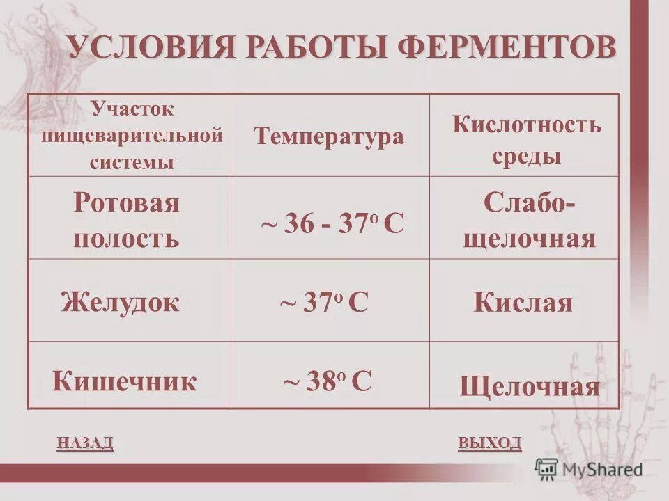 Ферменты работающие в слабощелочной среде