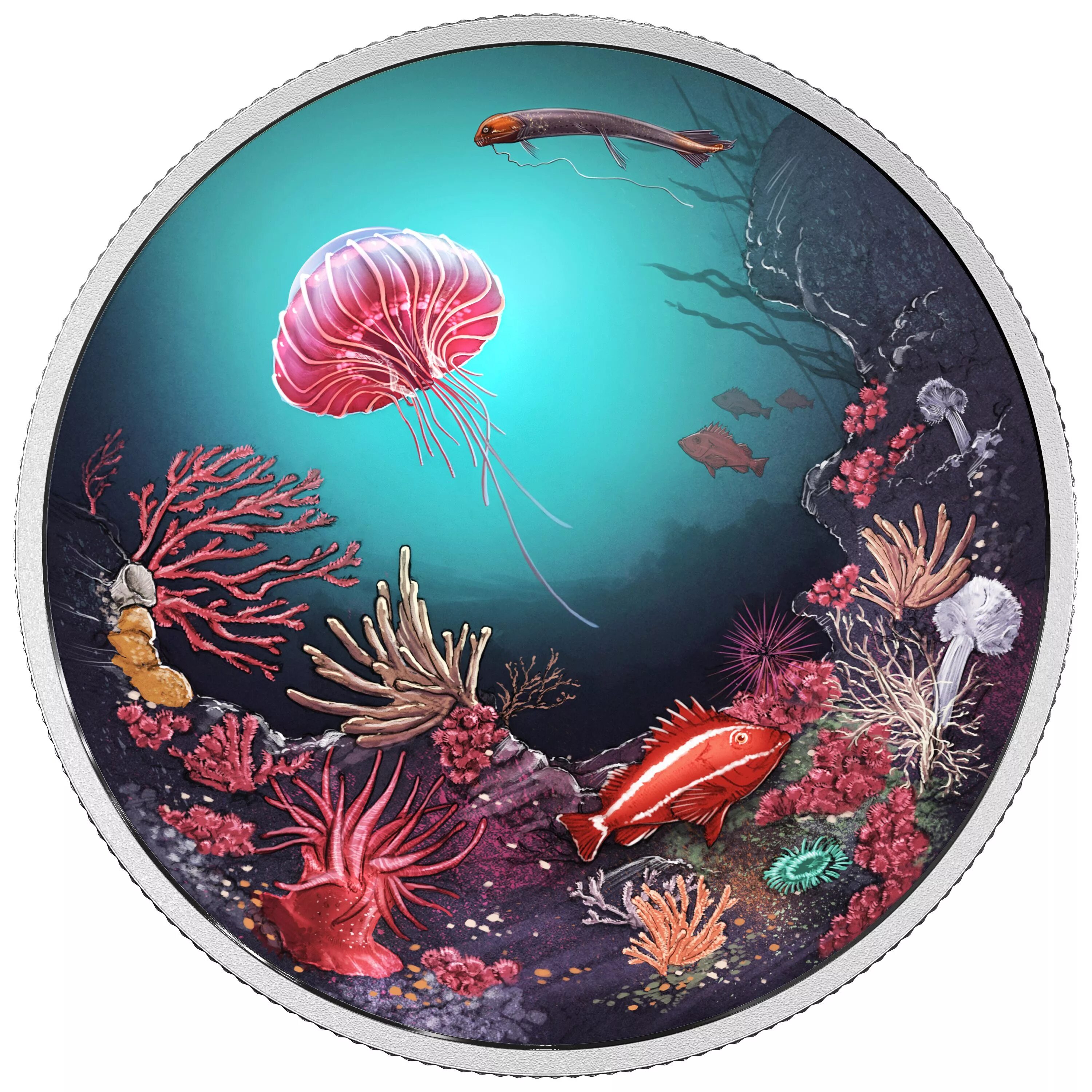 Монеты подводный мир серебро. Серебряная монета рыбы. Монета reef. Серебряный риф. Рифы на монете.