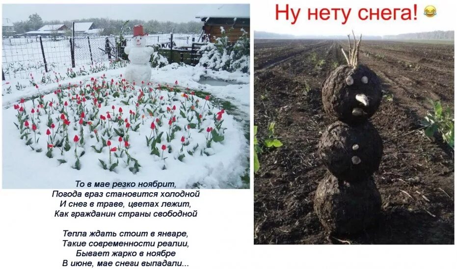 Ну нет нету. Ну нет снега. снеговик из грязи. снеговик из грязи. ну нет снега. снега нет юмор.