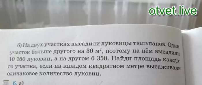 Контейнер для посадки тюльпанов. На двух участках высадили луковицы тюльпанов. На 2 опытных участках высадили тюльпаны на одном 940 луковица. На двух участках высадили луковицы тюльпанов. Посадка луковичных осенью в грунт.