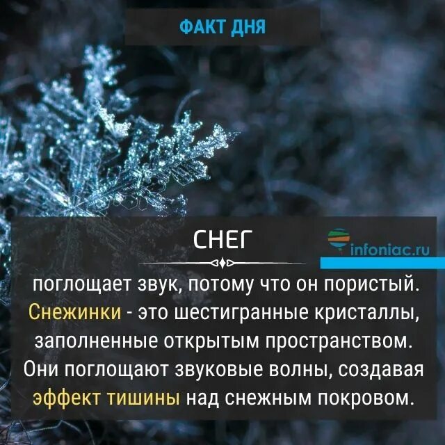 Снег поглощает звук. Снег впитывает воду.