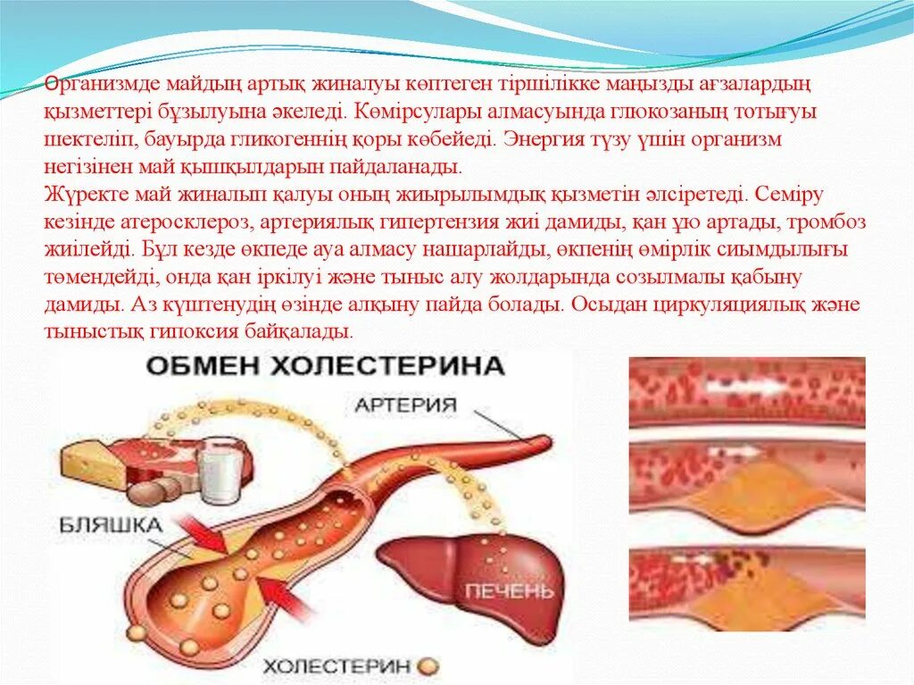 Метаболизм кезеңдері. Зат алмасу процесі. Май алмасу патофизиологиясы. Зат алмасу дегеніміз не.