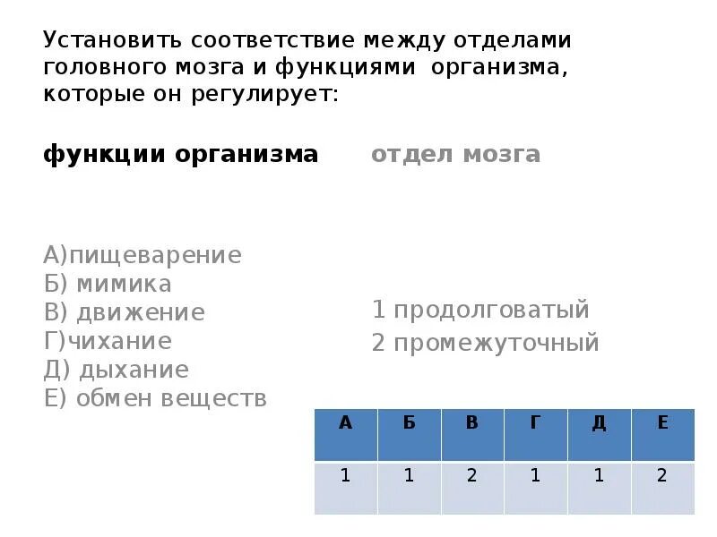 Установите соответствие между ис. Установите соответствие между отделами и функциями головного мозга. Соответствие между отделами головного мозга и их функциями. Соответствие между отделом мозга и его функцией. Установи соответствие между отделом мозга и его функцией.