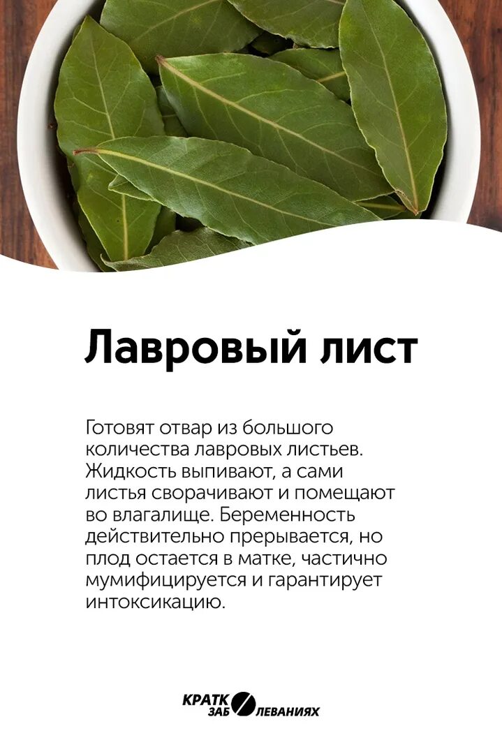 Можно пить лавровый лист. Лавровый лист для выкидыша. отвар лаврового листа для выкидыша. народные средства для выкидыша. отвар лаврушки для выкидыша.