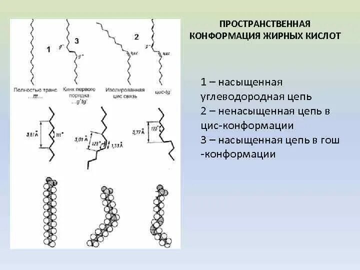 Цис конформация. Цис конформация