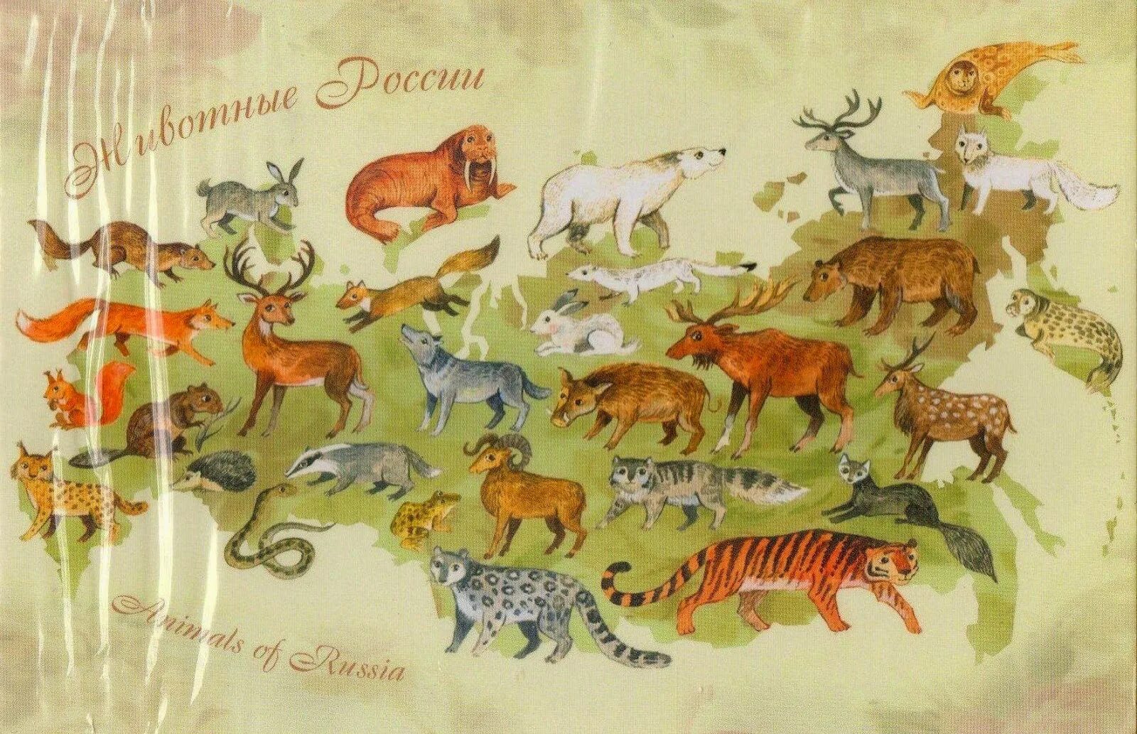 Карта животных России. Животные России на карте. Животные которые обитают в России. Страна Россия с животными