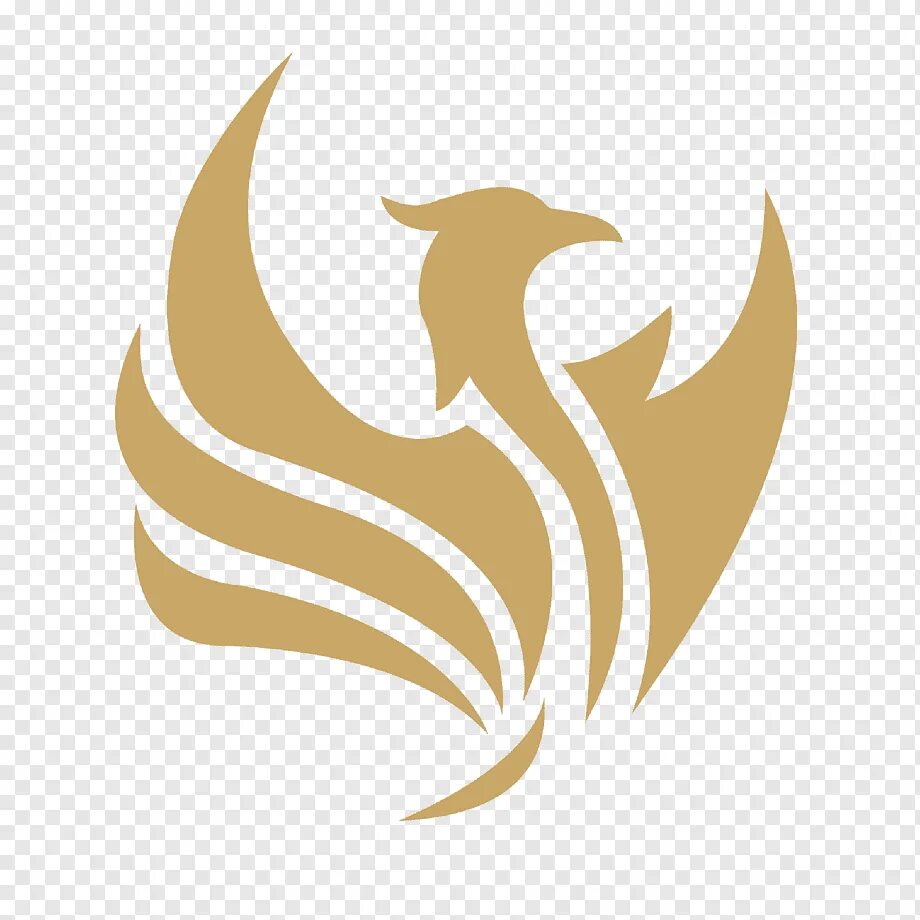 Шапка fischer knit beanie turner g82208. Мужская куртка phenix norway alpine team jacket. Виндстопер куртка phoenix. Куртка зимняя longboard kiabi. Куртка phenix norway alpine ski team.