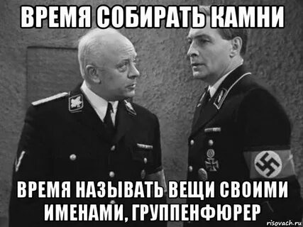 Штирлиц мемы