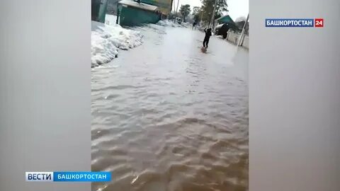 Паводок 2.0
