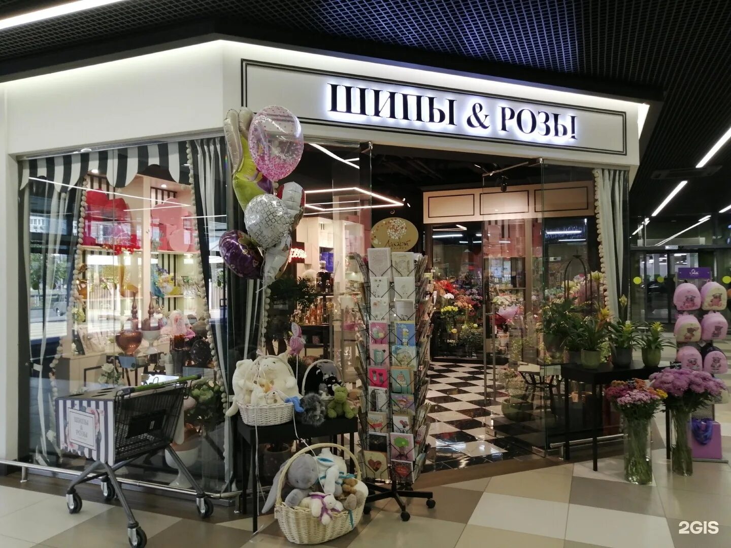 шипы для шиповок игла 6 мм. ремонтный шип rossvik. магазин шипы и розы краснодар кубанская набережная. шипы и розы краснодар новогодние украшения фото. магазины шипов.