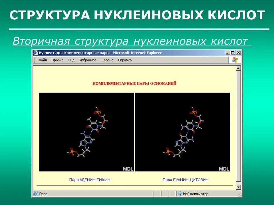 Связи в нуклеиновых кислотах. Вторичная структура нуклеиновых кислот. Вторичная вторичная структура нуклеиновых кислот. Пары нуклеиновых кислот. Вторичная структура нукл кислот.