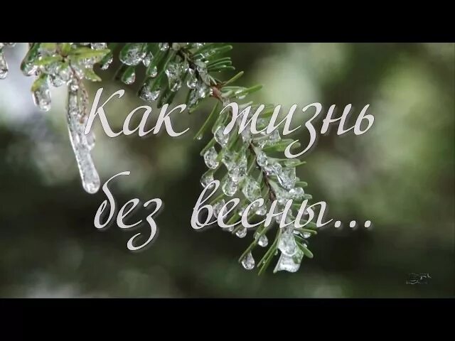 Жизнь без весны. Как жизнь без весны.