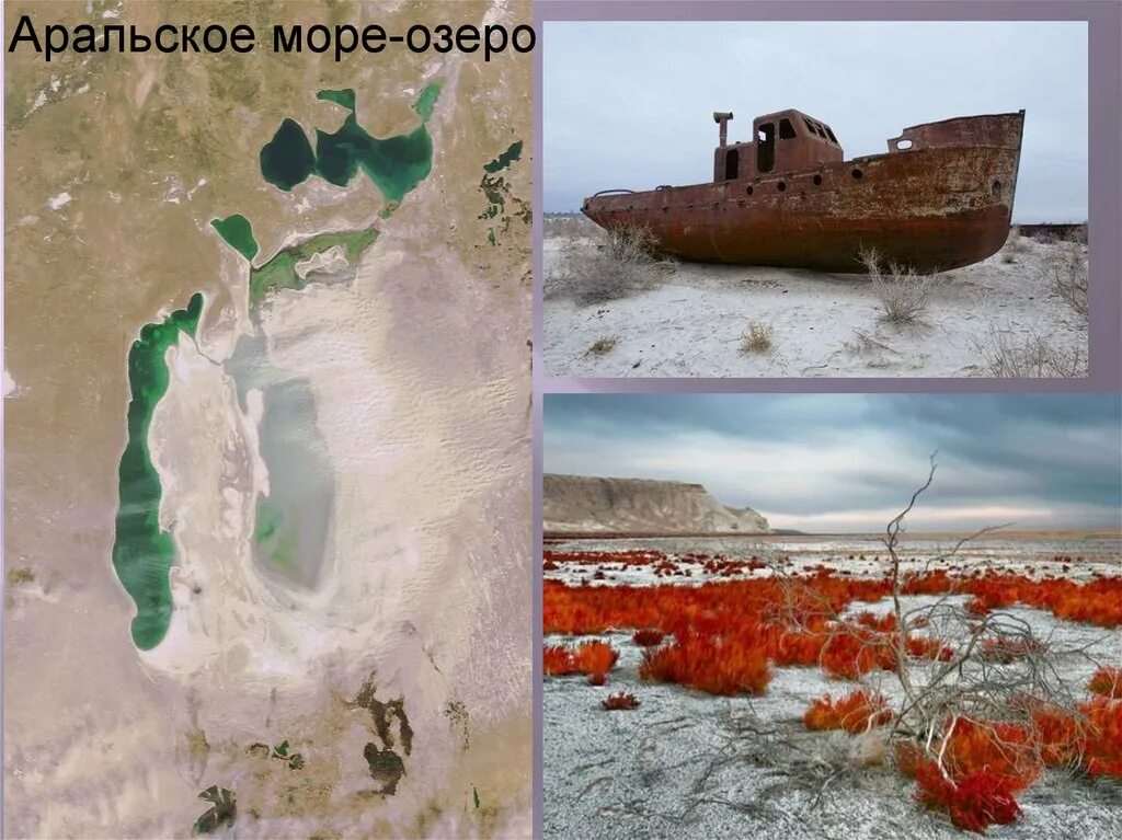 Высохшее море аральское море. Причины пересыхания аральского моря. Аральское море 2022. Где исчезло море. Высохшее море аральское море.
