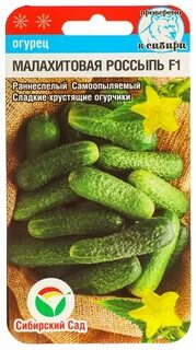 Купим семена огурцов оптом