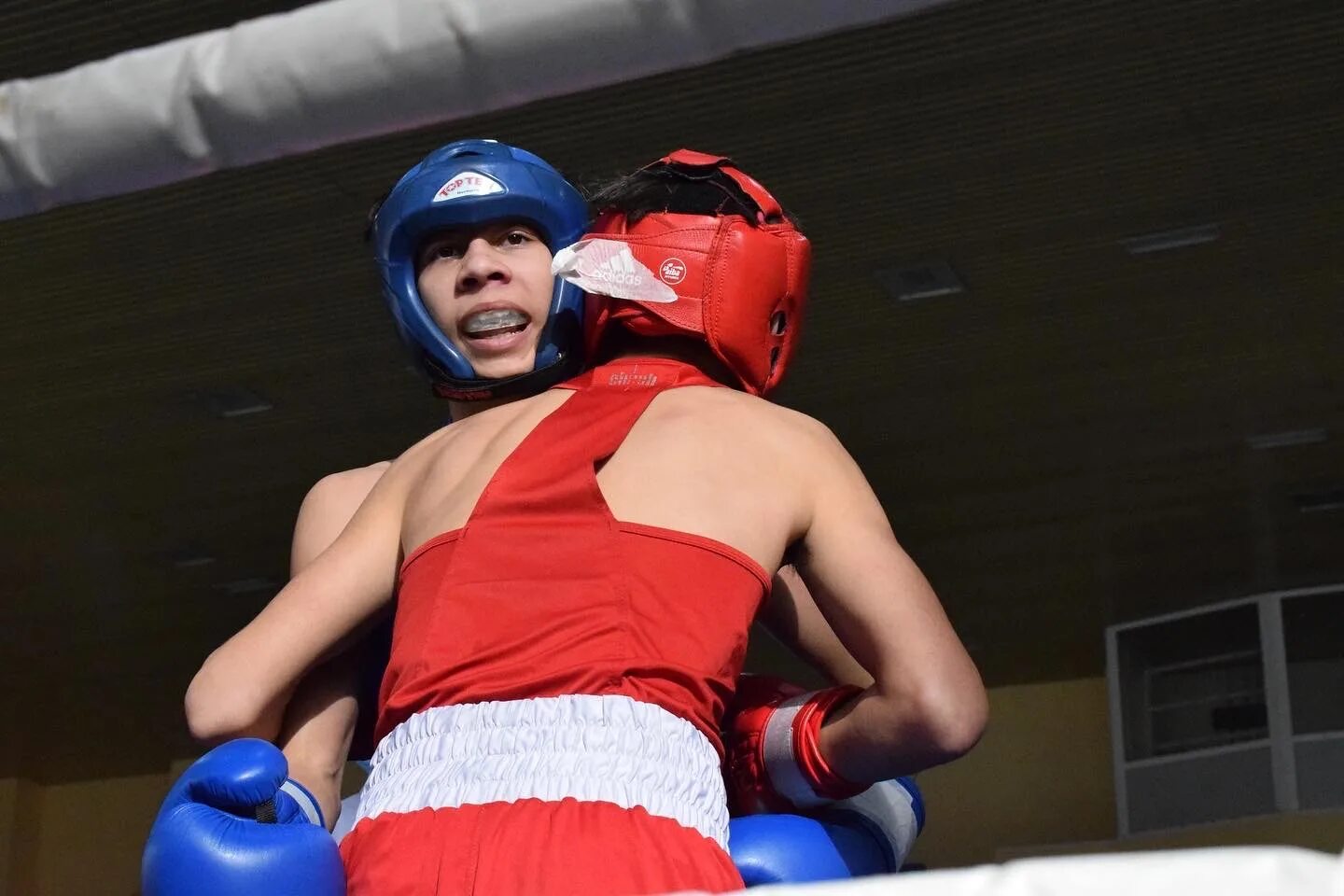 Бокс девушек 15 16. Калачева дарья бокс рязань. Боксы для девочки 14 лет. Девушка 13 бокс. Первенство дфо по боксу среди девушек 2022.