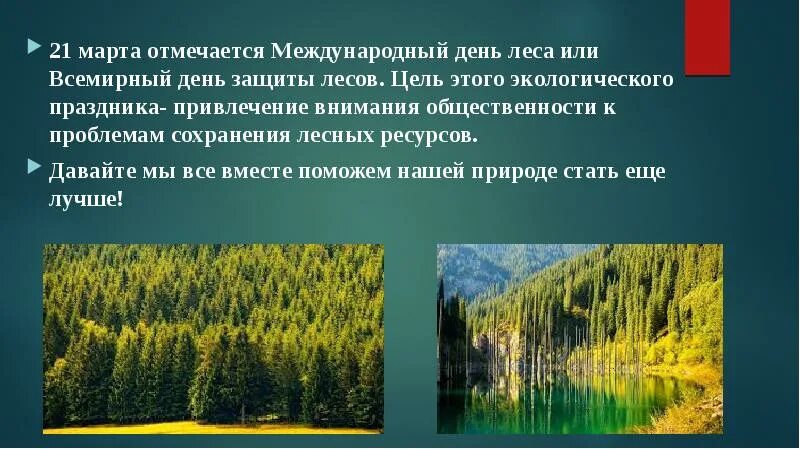 21 международный день леса. Международный день лесов презентация.