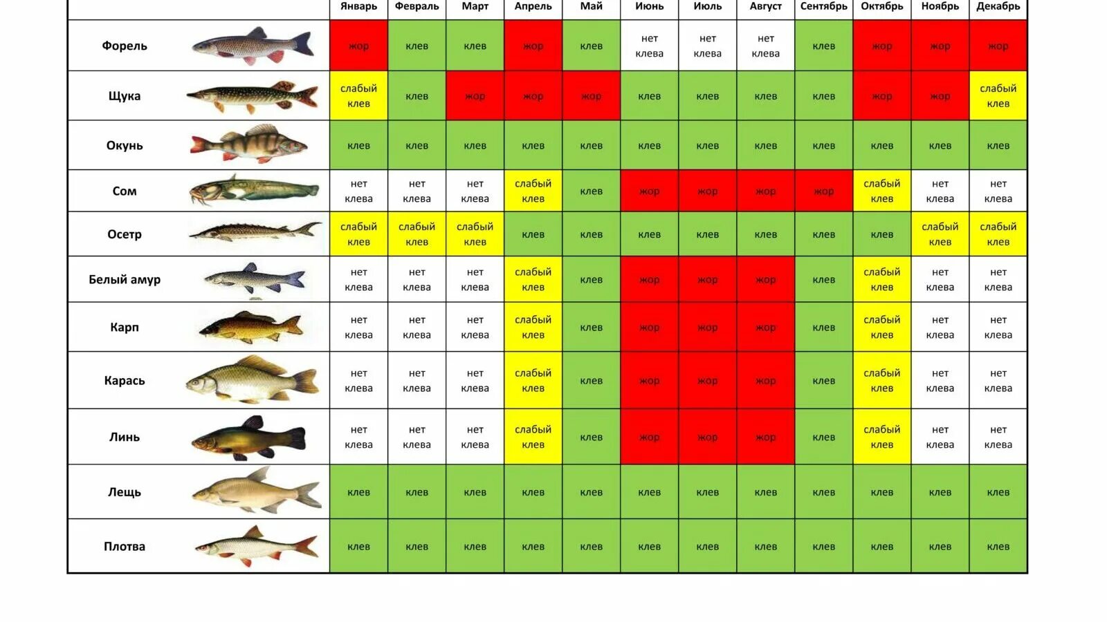 Прогноз клева смоленская. Лунный рыболовный календарь на 2022. Лунный календарь клёва рыбы на 2022. Календарь клёва щуки на 2022. Лунный календарь для рыбалки 2022.