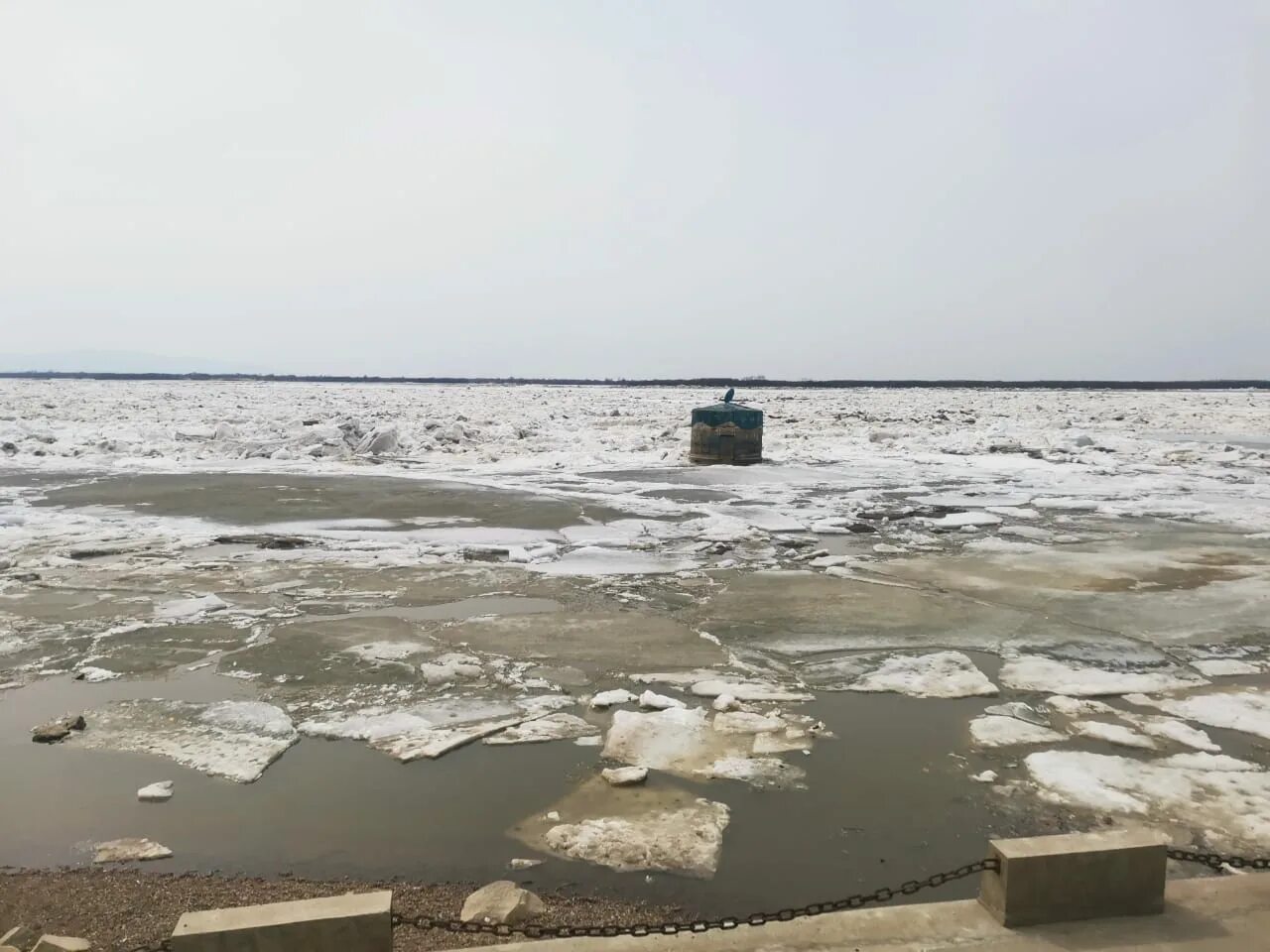 Ледоход на амуре. Ледоход Хабаровск. Ледоход на Амуре 2023. Ледоход на Томи 2023. Хабаровск набережная 2023.