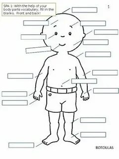 Parts of the body worksheets