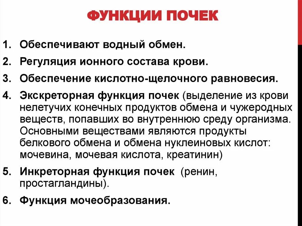 Какую функцию выполняют почки у человека. Основные функции почек в организме. почки человека функции кратко. перечислите основные функции почек. назовите основные функции почек.