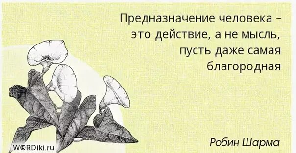 Мы знаем главное предназначение человека оставить. Предназначение цитаты. Афоризмы про предназначение. Цитаты о предназначении человека. Афоризмы о призвании человека.