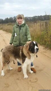Девушка и ее сторожевой