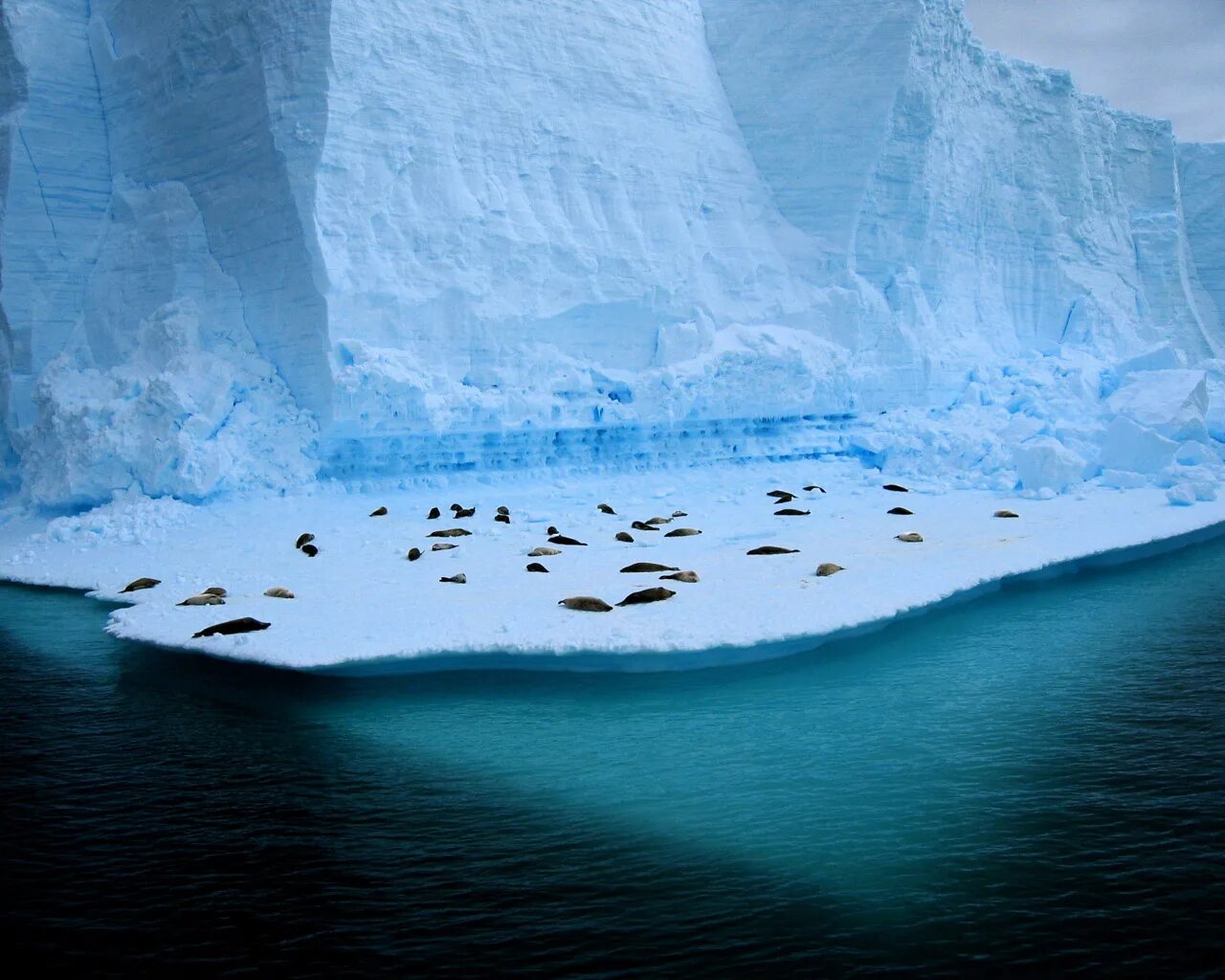 Большой остров покрытый льдами. Озеро Восток в Антарктиде. Арктика Антарктика Антарктида. Озеро подо льдом в Антарктиде. Северный полюс Арктика и Антарктика.