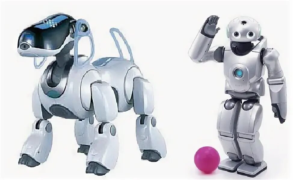 Robot entertainment