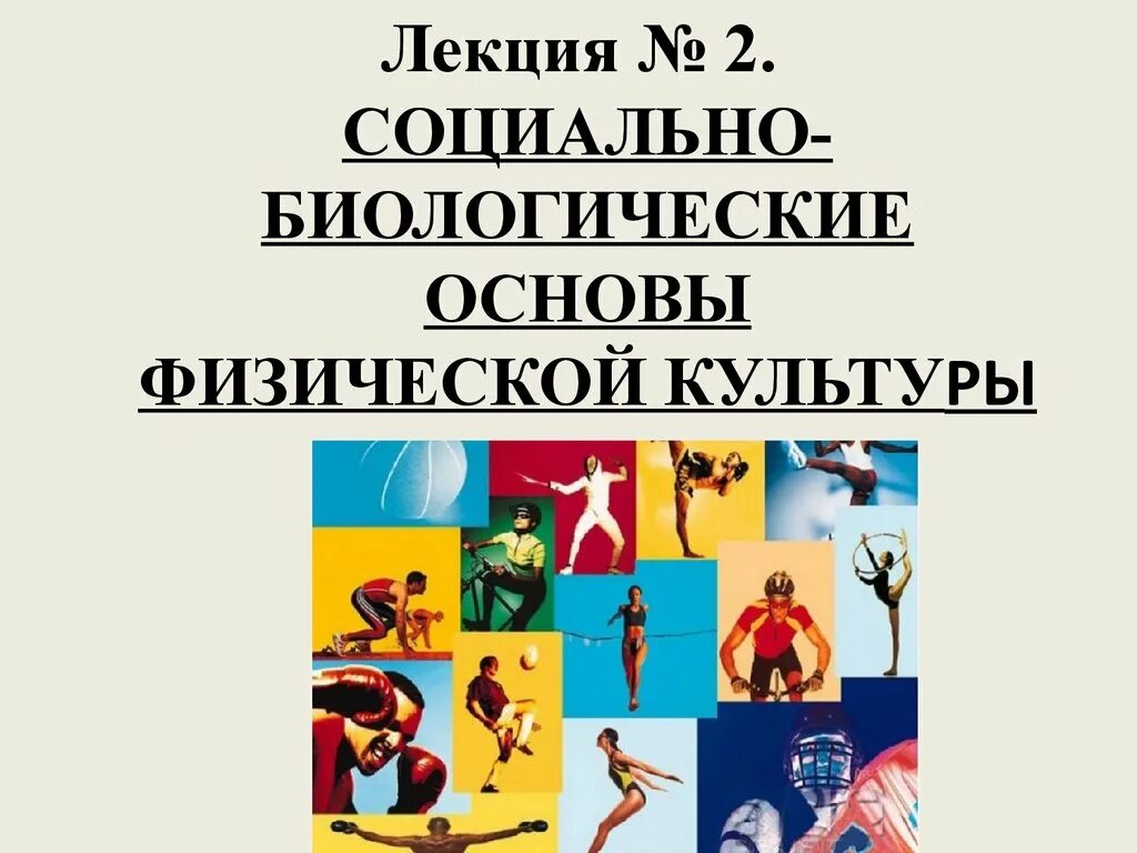 Социально-биологические основы физической культуры. Социальные биологические основы физической культуры. Биологии и физической культуры. Физкультура лекции. Физическая основа общества