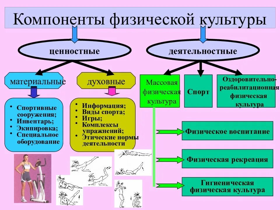 Что входит в содержание физической культуры. Компоненты физической культуры. компоненты физического воспитания. компоненты физической культуры личности. основные составляющие компоненты физической культуры.